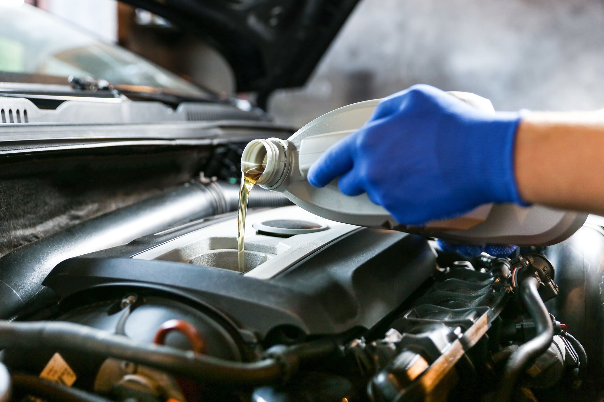 El aceite del motor del automóvil se vierte en el motor de cerca.